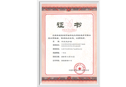 中石油化工聯(lián)合會科技進步一等獎